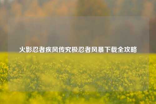 火影忍者疾风传究极忍者风暴下载全攻略