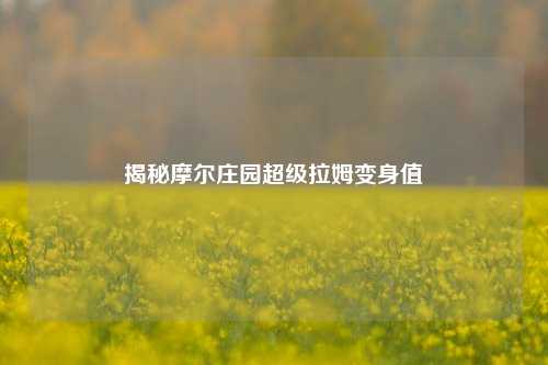 揭秘摩尔庄园超级拉姆变身值