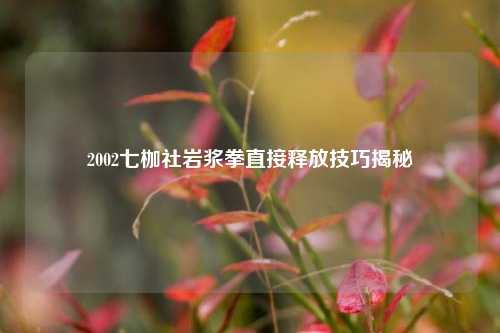 2002七枷社岩浆拳直接释放技巧揭秘