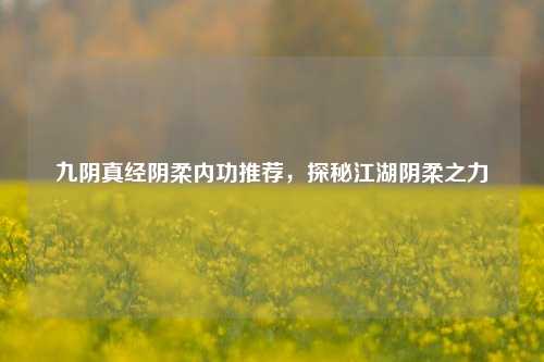九阴真经阴柔内功推荐，探秘江湖阴柔之力