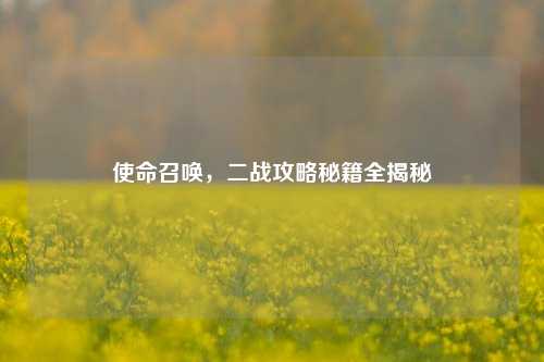 使命召唤，二战攻略秘籍全揭秘