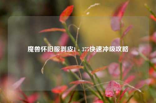 魔兽怀旧服剥皮1 - 375快速冲级攻略