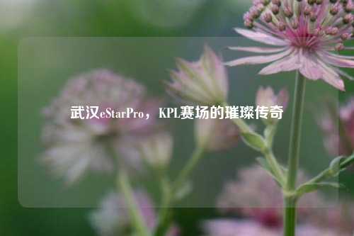 武汉eStarPro，KPL赛场的璀璨传奇