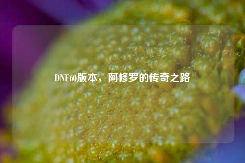 DNF60版本，阿修罗的传奇之路