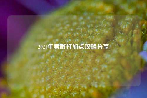 2021年男散打加点攻略分享