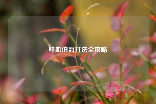 鲜血伯爵打法全攻略
