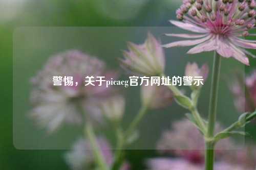 警惕，关于picacg官方网址的警示