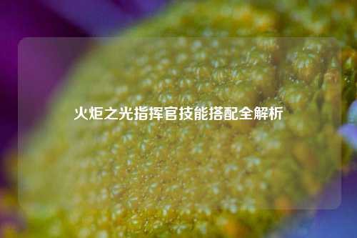 火炬之光指挥官技能搭配全解析